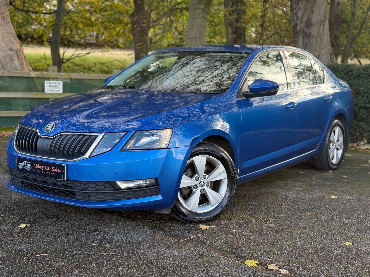 Used Skoda Octavia 2018 for sale - 76380723: Photo 3