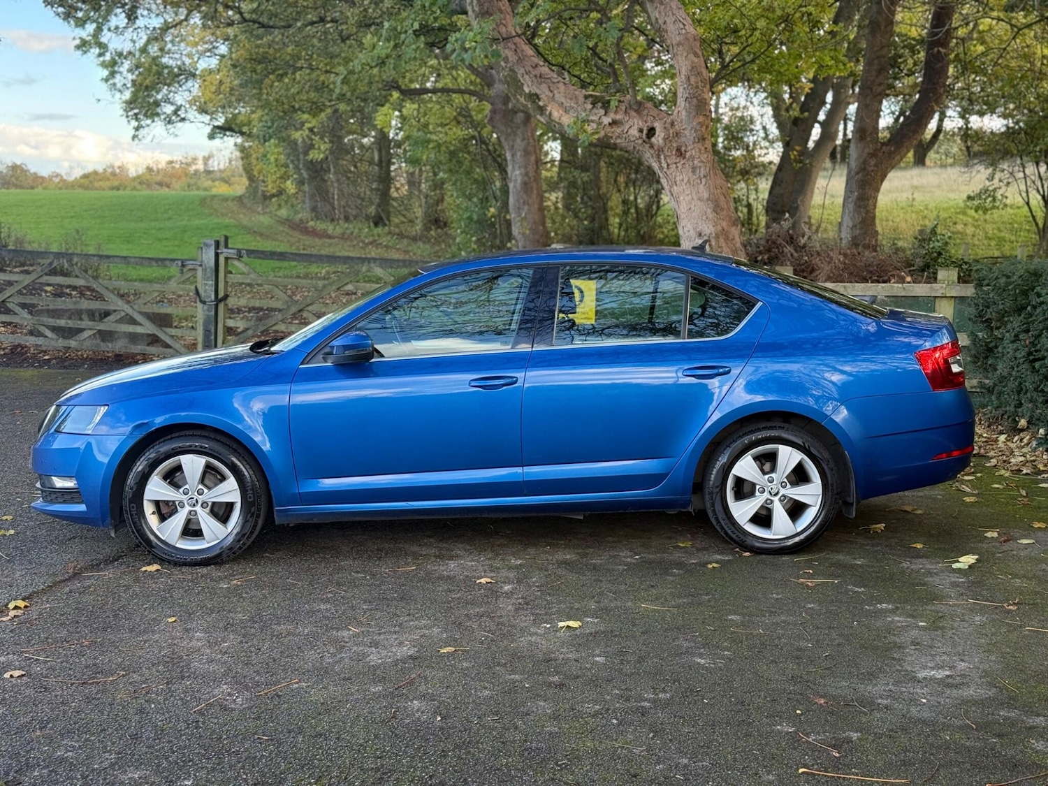 Used Skoda Octavia 2018 for sale - 76380723: Photo 5