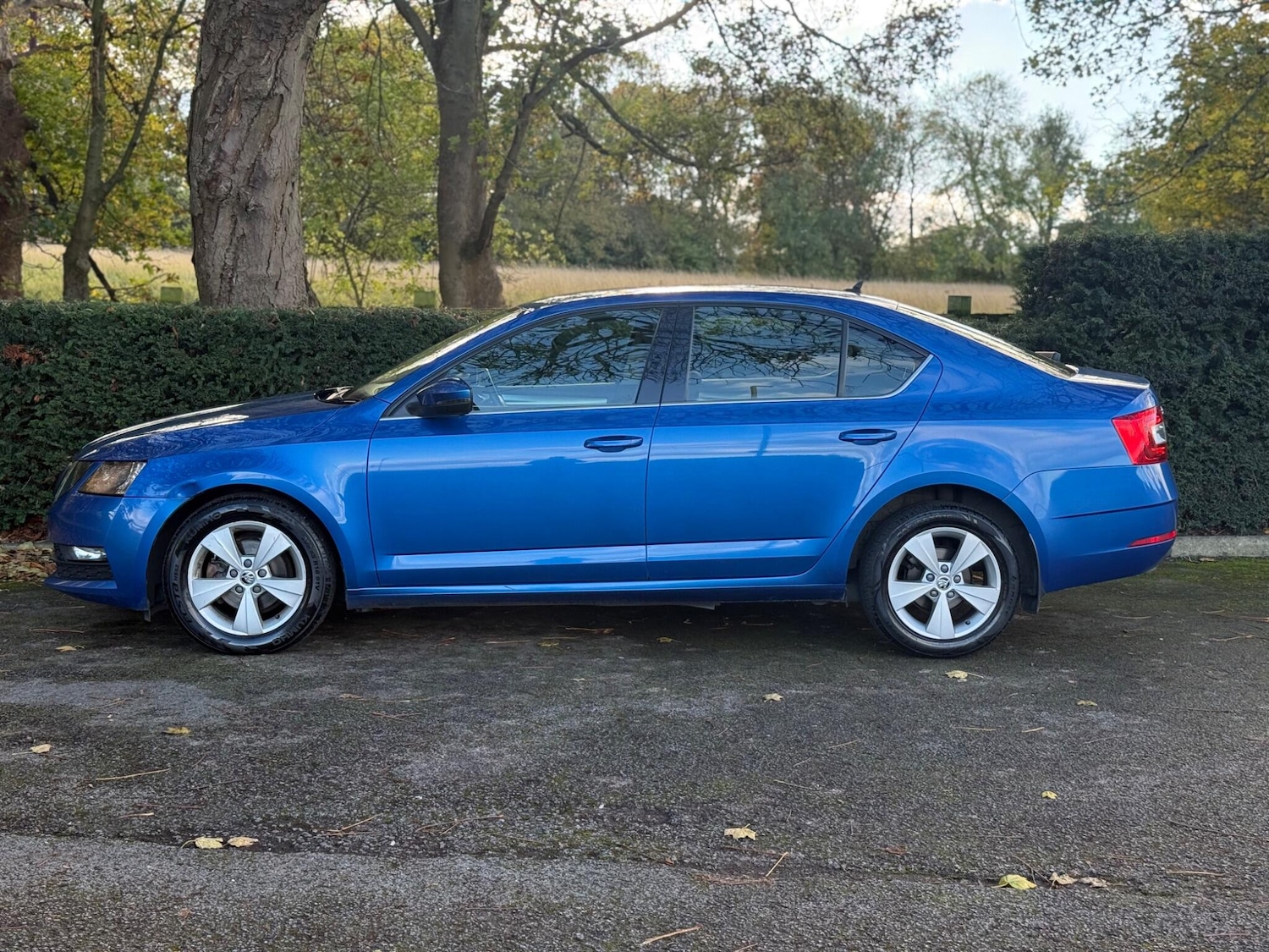 Used Skoda Octavia 2018 for sale - 76380723: Photo 6