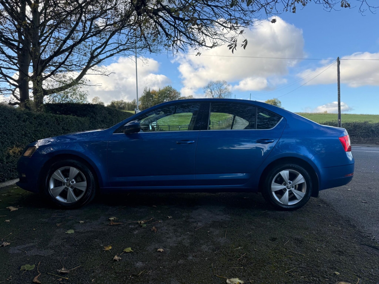 Used Skoda Octavia 2018 for sale - 76380723: Photo 7
