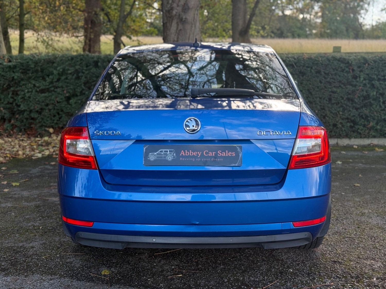 Used Skoda Octavia 2018 for sale - 76380723: Photo 8