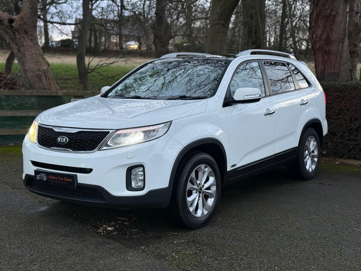 Used Kia Sorento 2013 for sale - 76942344: Photo 3