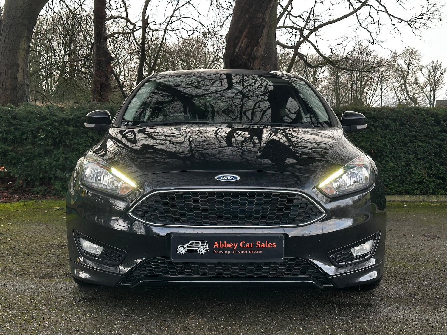 Used Ford Focus for sale - 77484316: Photo 2