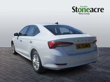 Used Skoda Octavia 2024 for sale - 78635692: Photo