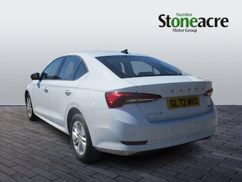 Used Skoda Octavia 2024 for sale - 78429012: Photo