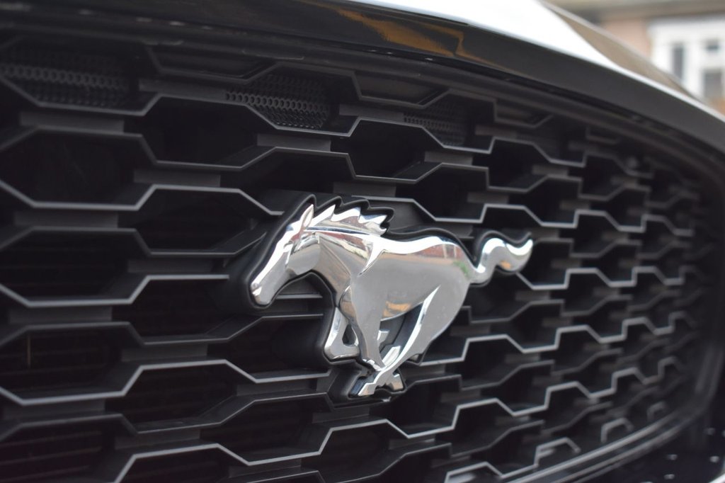 Used Ford Mustang 2018 for sale - 77161898: Photo 9