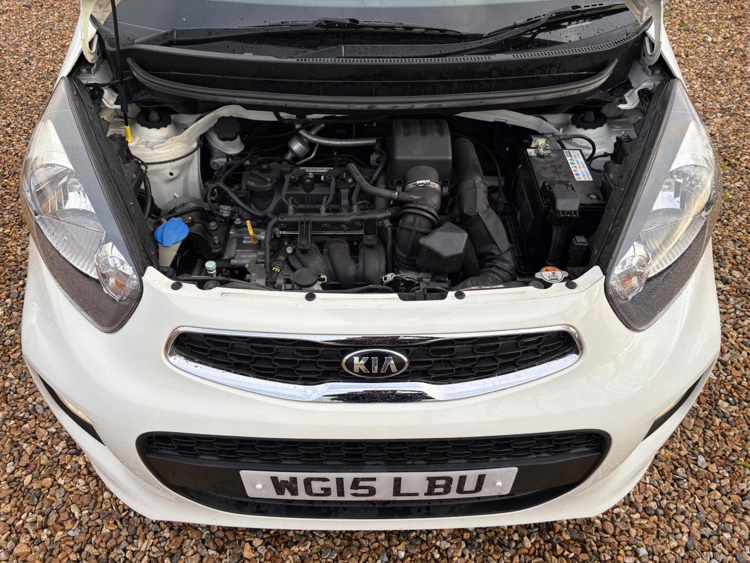 Used Kia Picanto 2015 for sale - 77627661: Photo 21