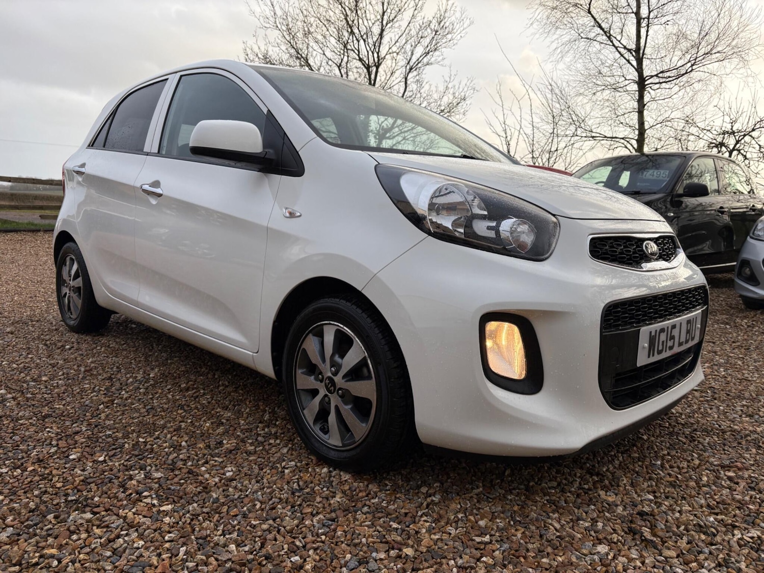 Used Kia Picanto 2015 for sale - 77627661: Photo 3