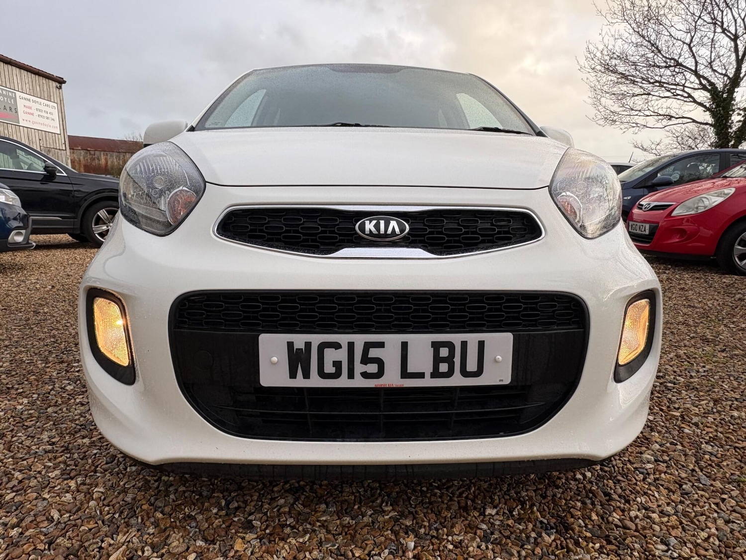 Used Kia Picanto 2015 for sale - 77627661: Photo 4