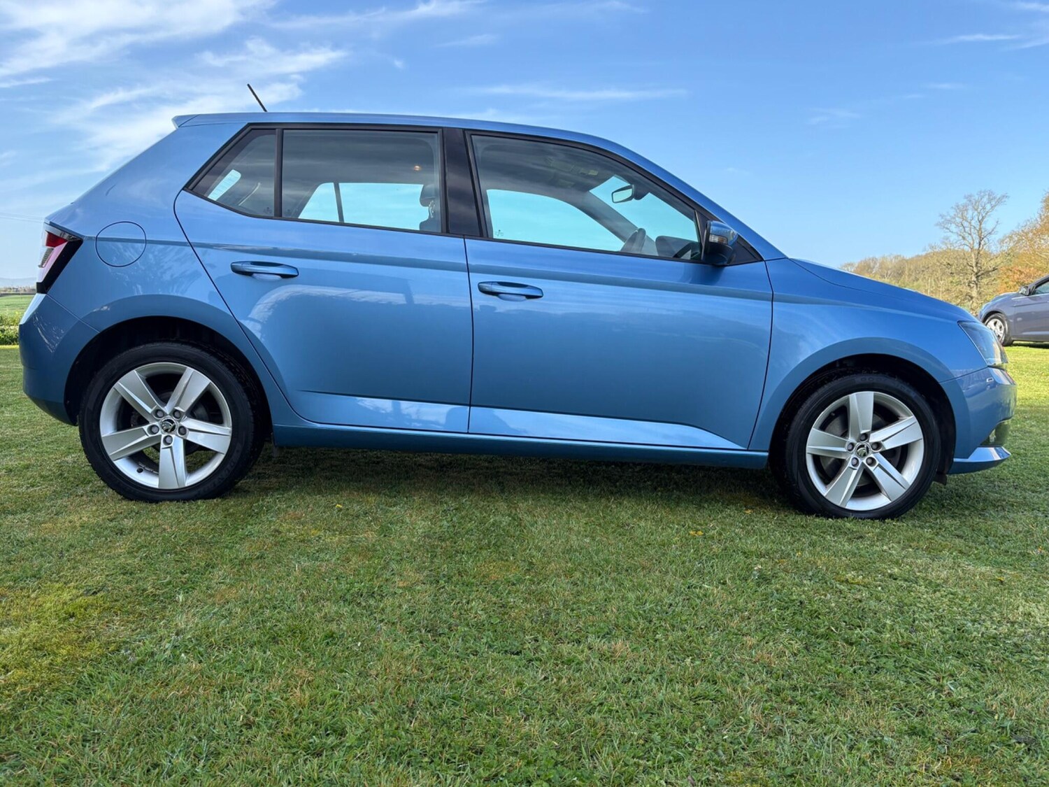 Used Skoda Fabia 2016 for sale - 78211552: Photo 10