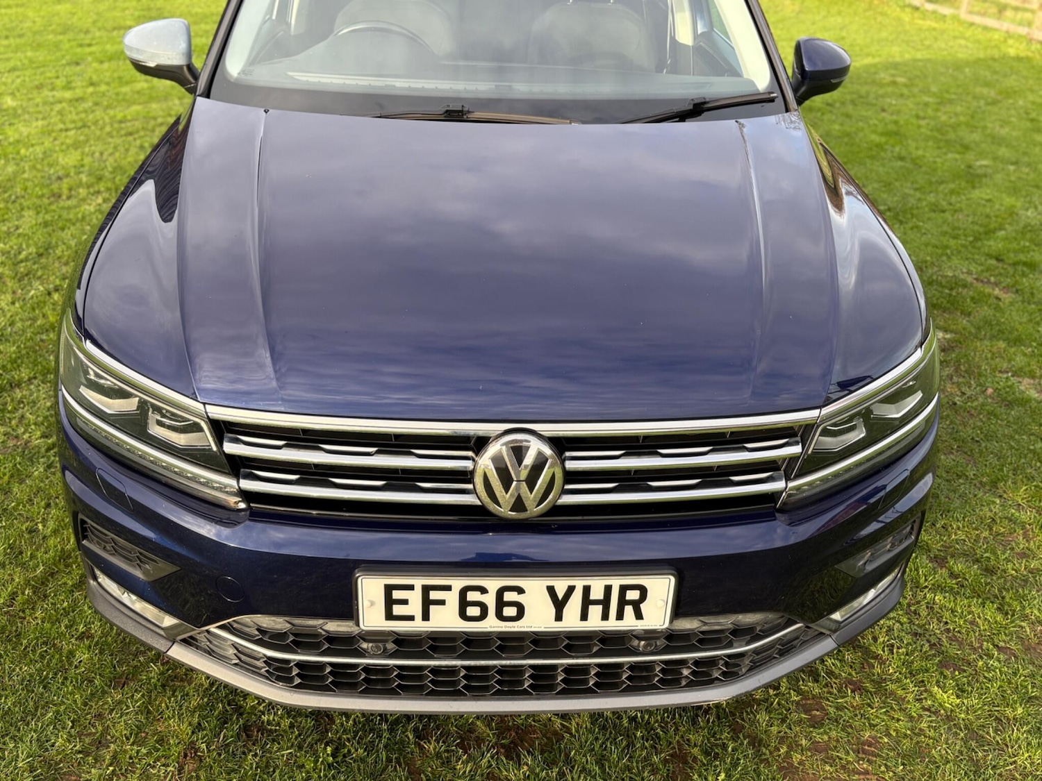 Used Volkswagen Tiguan 2017 for sale - 76574952: Photo 7