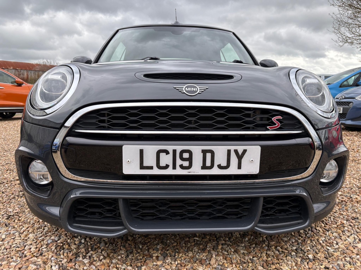 Used MINI Convertible 2019 for sale - 77841700: Photo 5