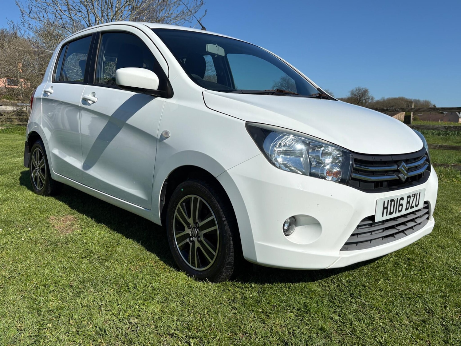 Used Suzuki Celerio 2016 for sale - 77942306: Photo 3