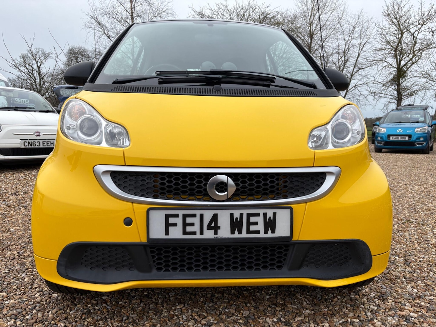 Used smart fortwo 2014 for sale - 77588674: Photo 5