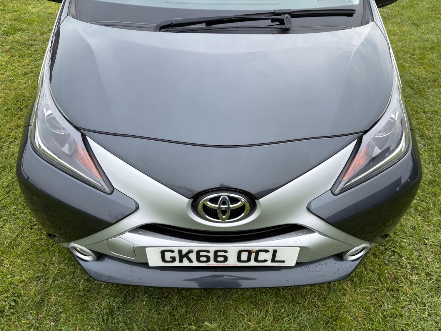 Used Toyota AYGO 2016 for sale - 77995202: Photo 5