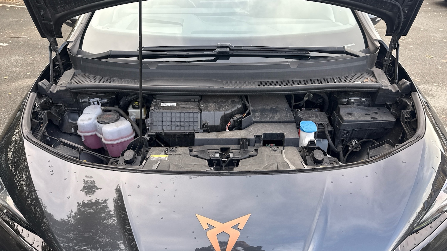 Used Cupra Born 2022 for sale - 76650968: Photo 8