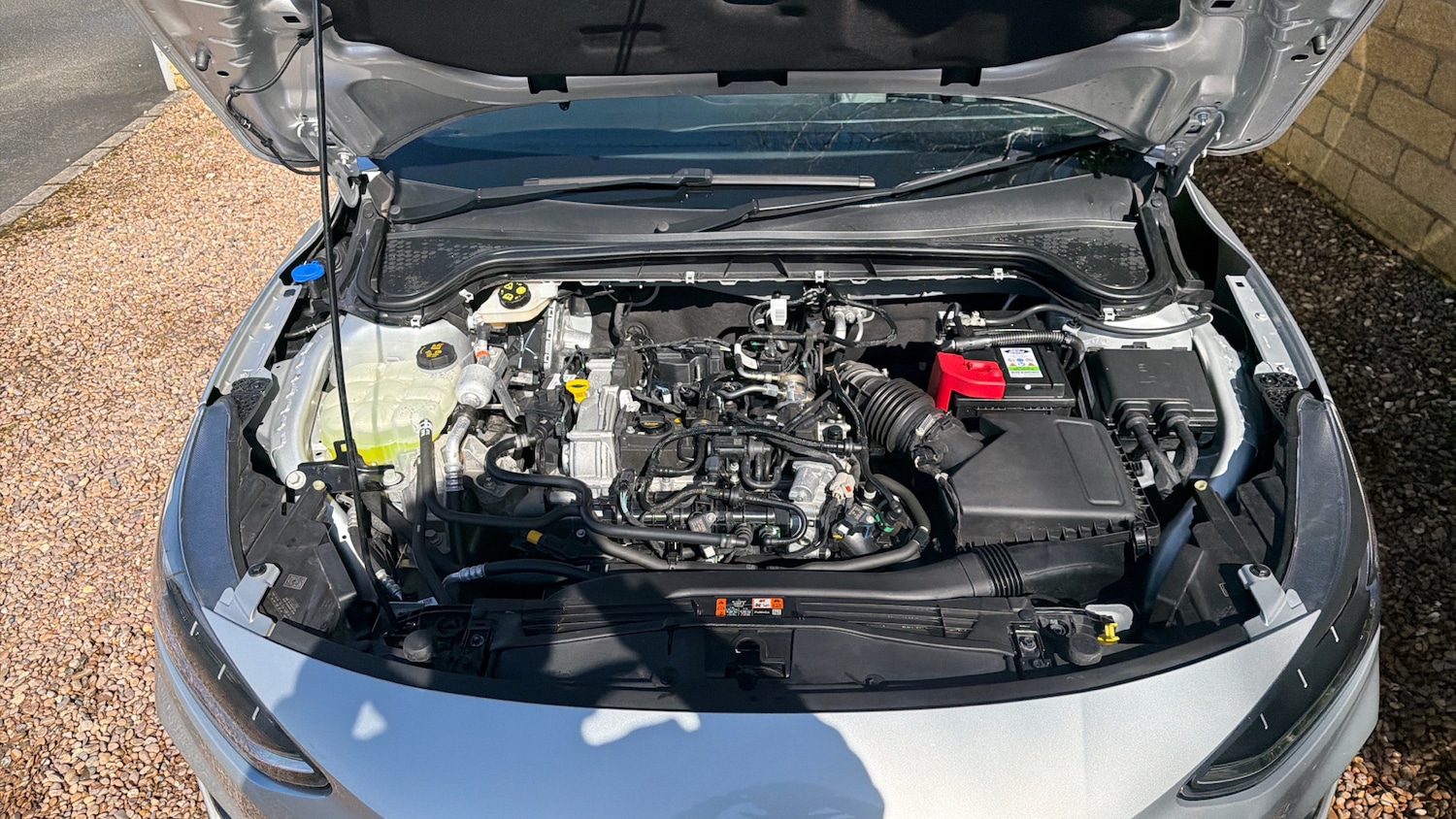 Used Ford Focus 2024 for sale - 78011531: Photo 8