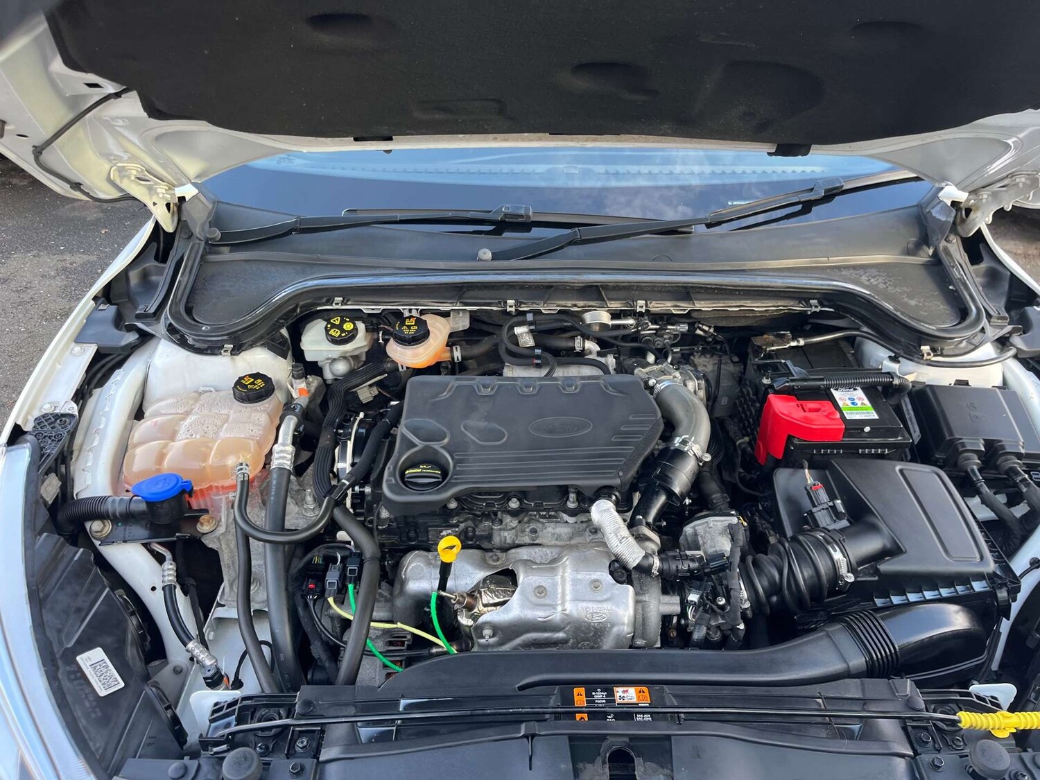 Used Ford Focus 2019 for sale - 76363928: Photo 21