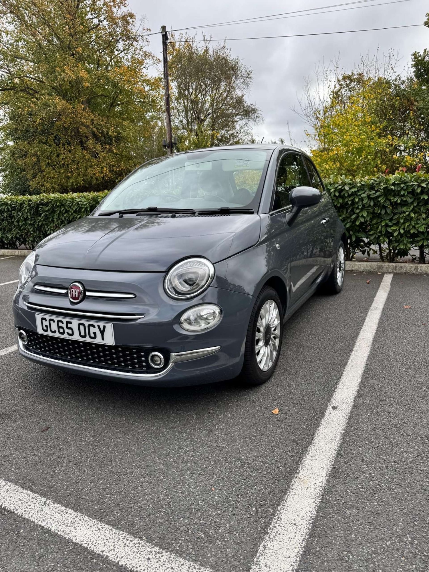 Used Fiat 500 2016 for sale - 77523278: Photo 2