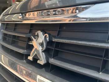 Used Peugeot Horizon 2018 for sale - 74952231: Photo