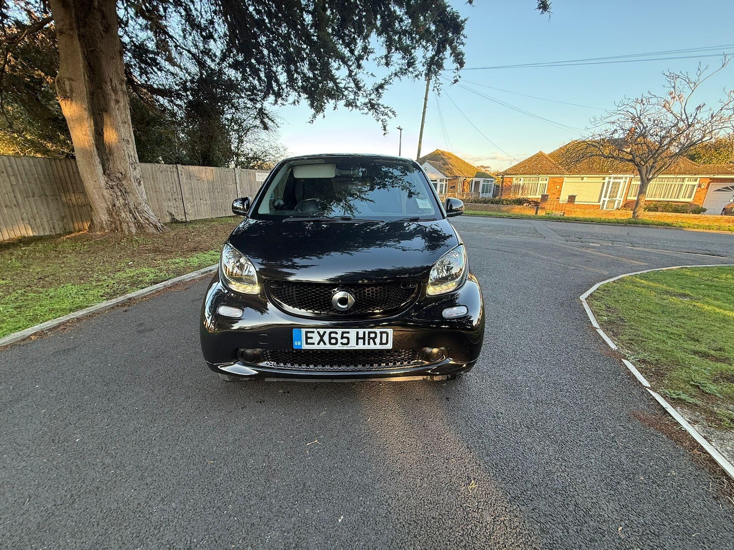 Used smart fortwo 2015 for sale - 77001037: Photo 6