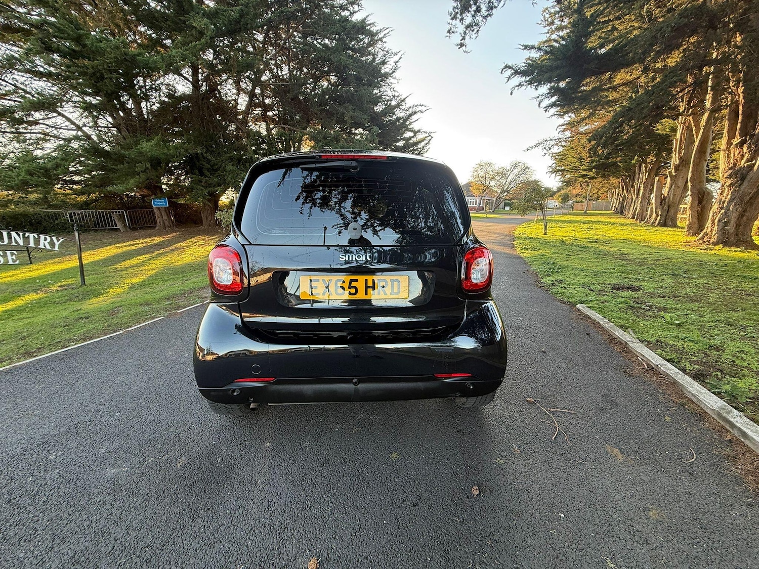 Used smart fortwo 2015 for sale - 76912896: Photo 17
