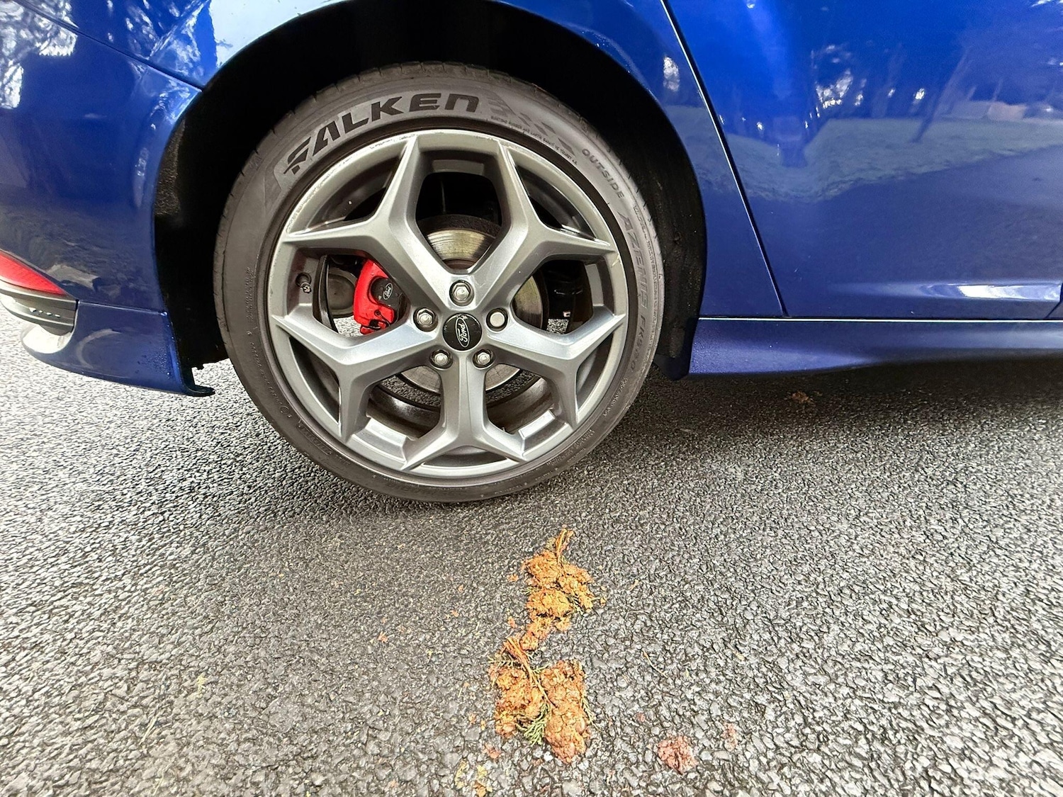 Used Ford Focus 2017 for sale - 77291751: Photo 9