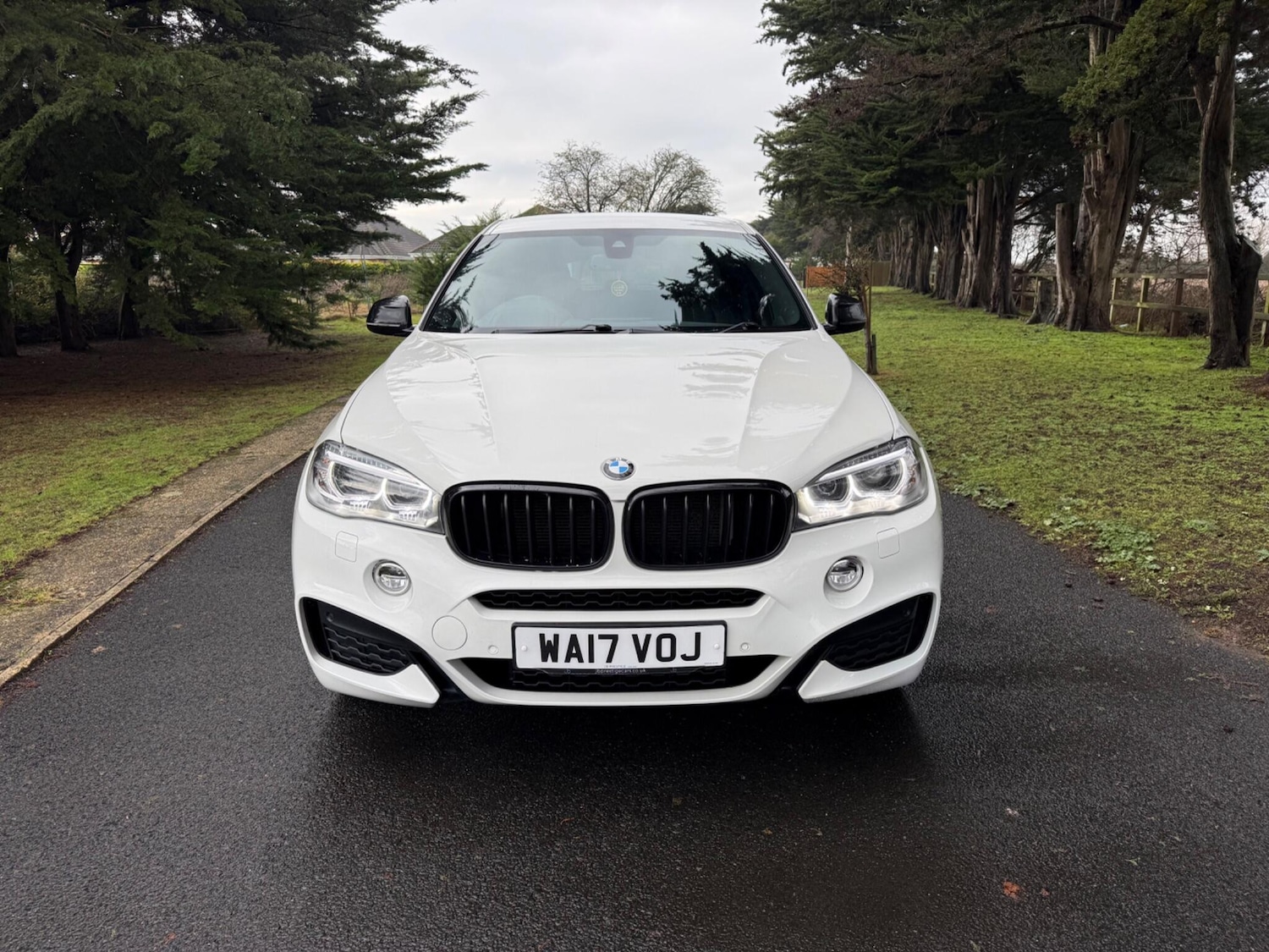 Used BMW X6 2017 for sale - 77468928: Photo 3