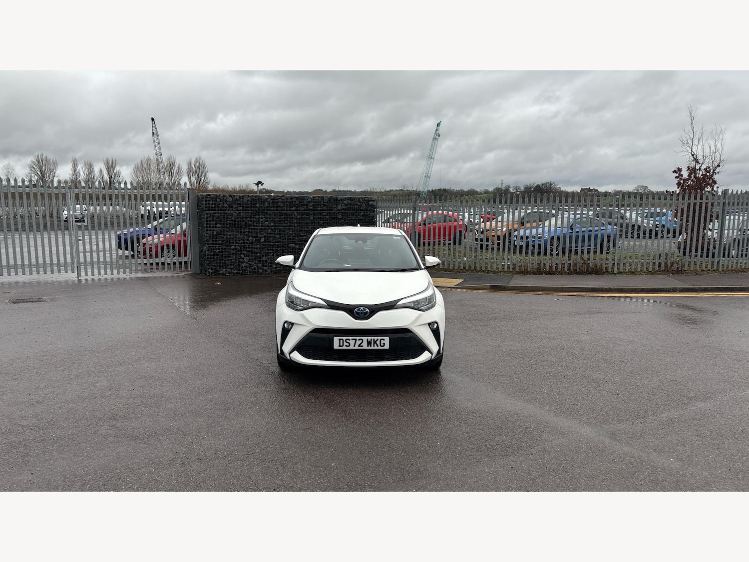 Used Toyota C-HR for sale - 77230031: Photo 17