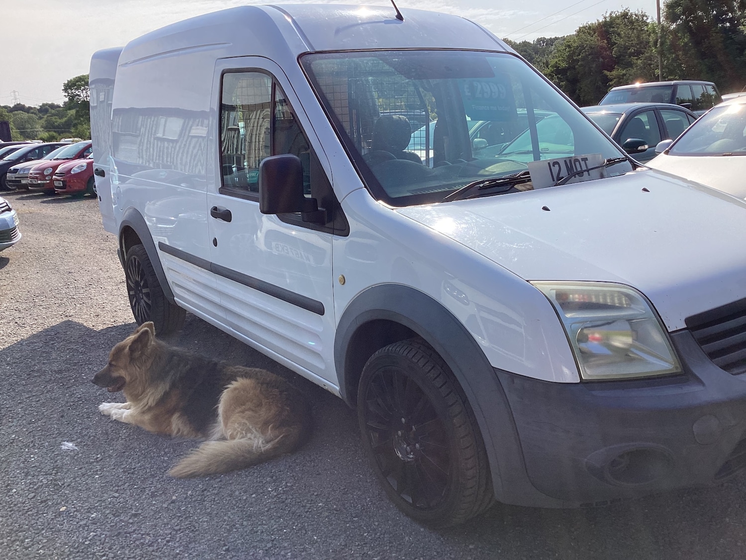 Used Ford Transit Connect 2012 for sale - 74923947: Photo 1