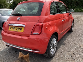 Used Fiat 500 2016 for sale - 74843621: Photo