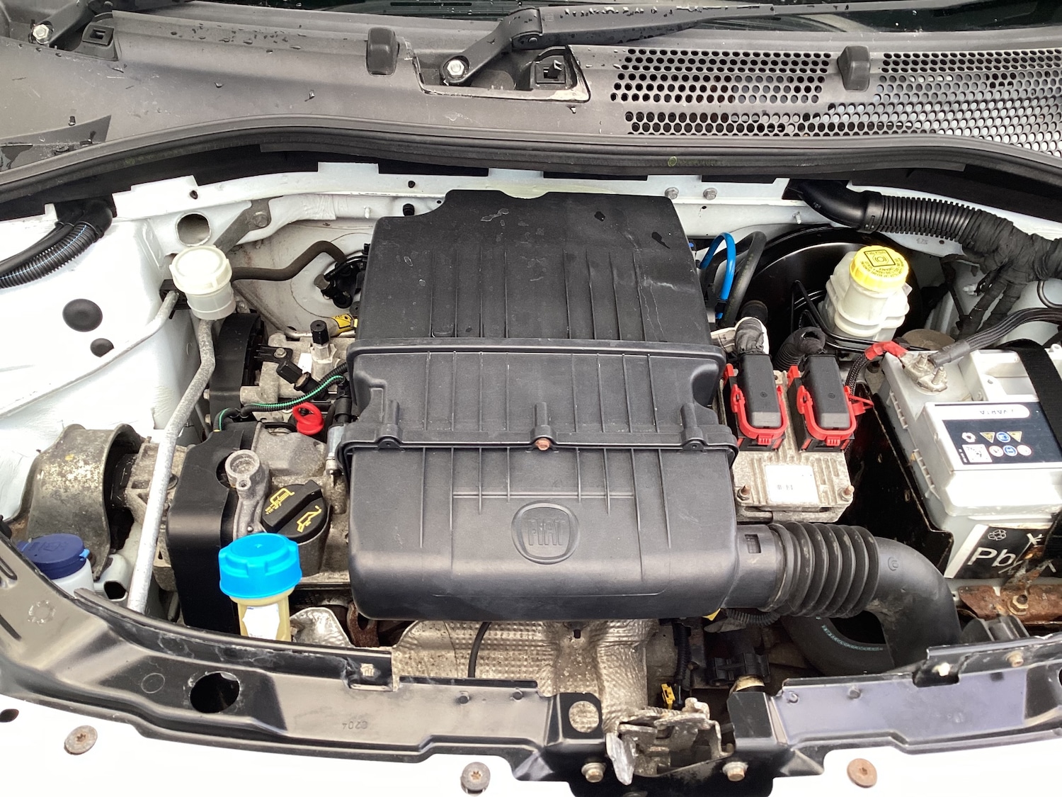 Used Fiat 500 2008 for sale - 77340295: Photo 14