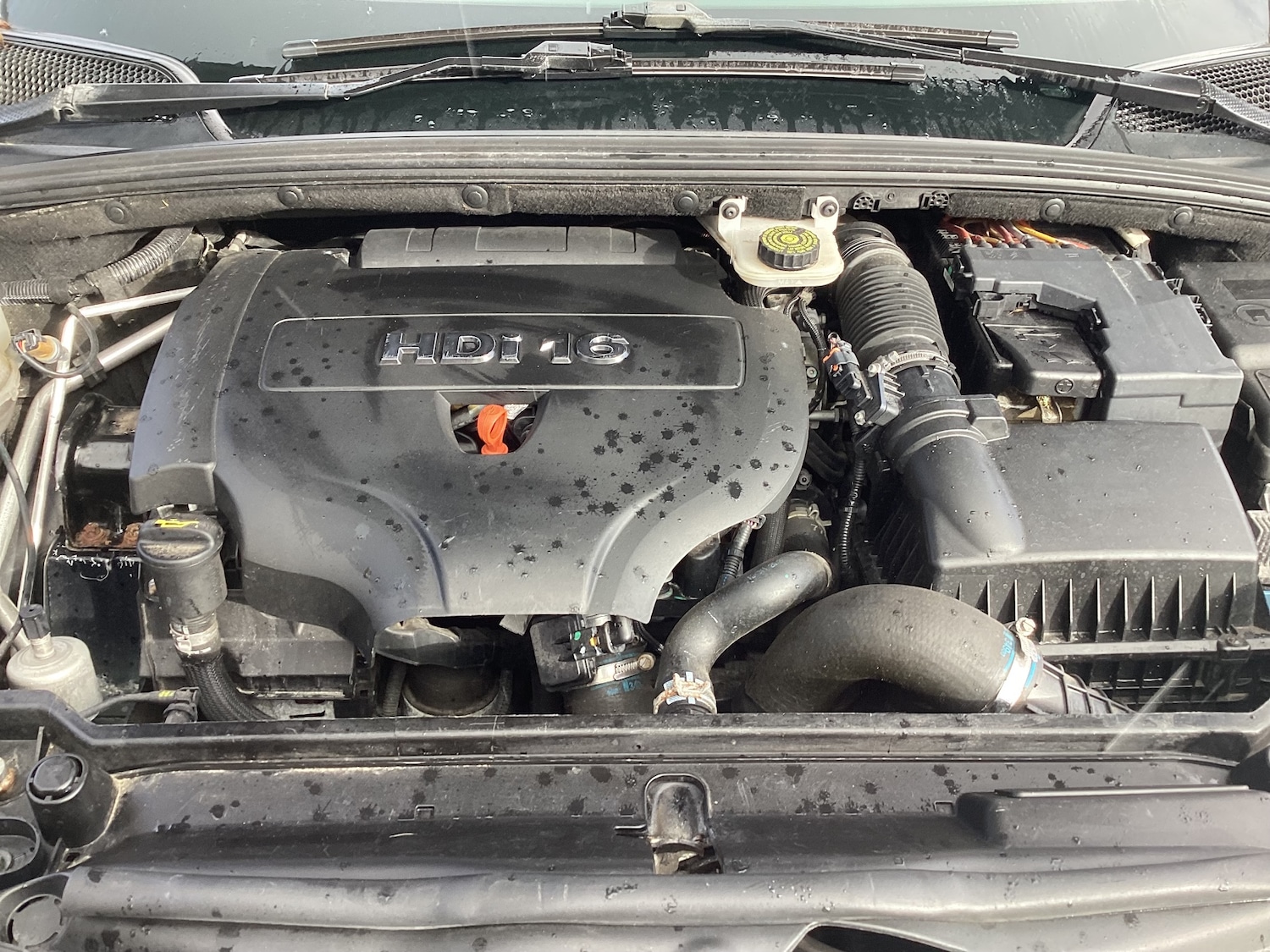 Used Citroen DS4 2012 for sale - 76436875: Photo 10