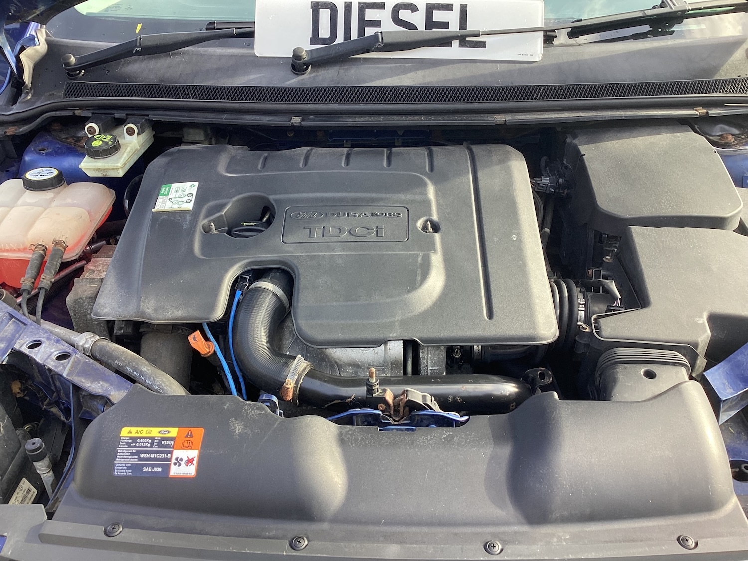 Used Ford Focus 2009 for sale - 76170783: Photo 15