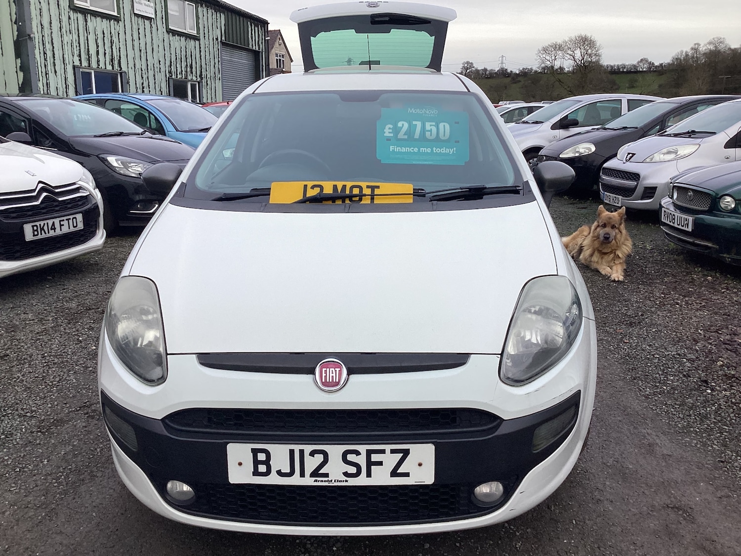 Used Fiat Punto Evo 2012 for sale - 77557206: Photo 12