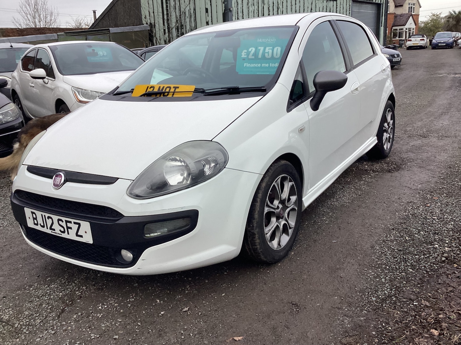 Used Fiat Punto Evo 2012 for sale - 77557206: Photo 2