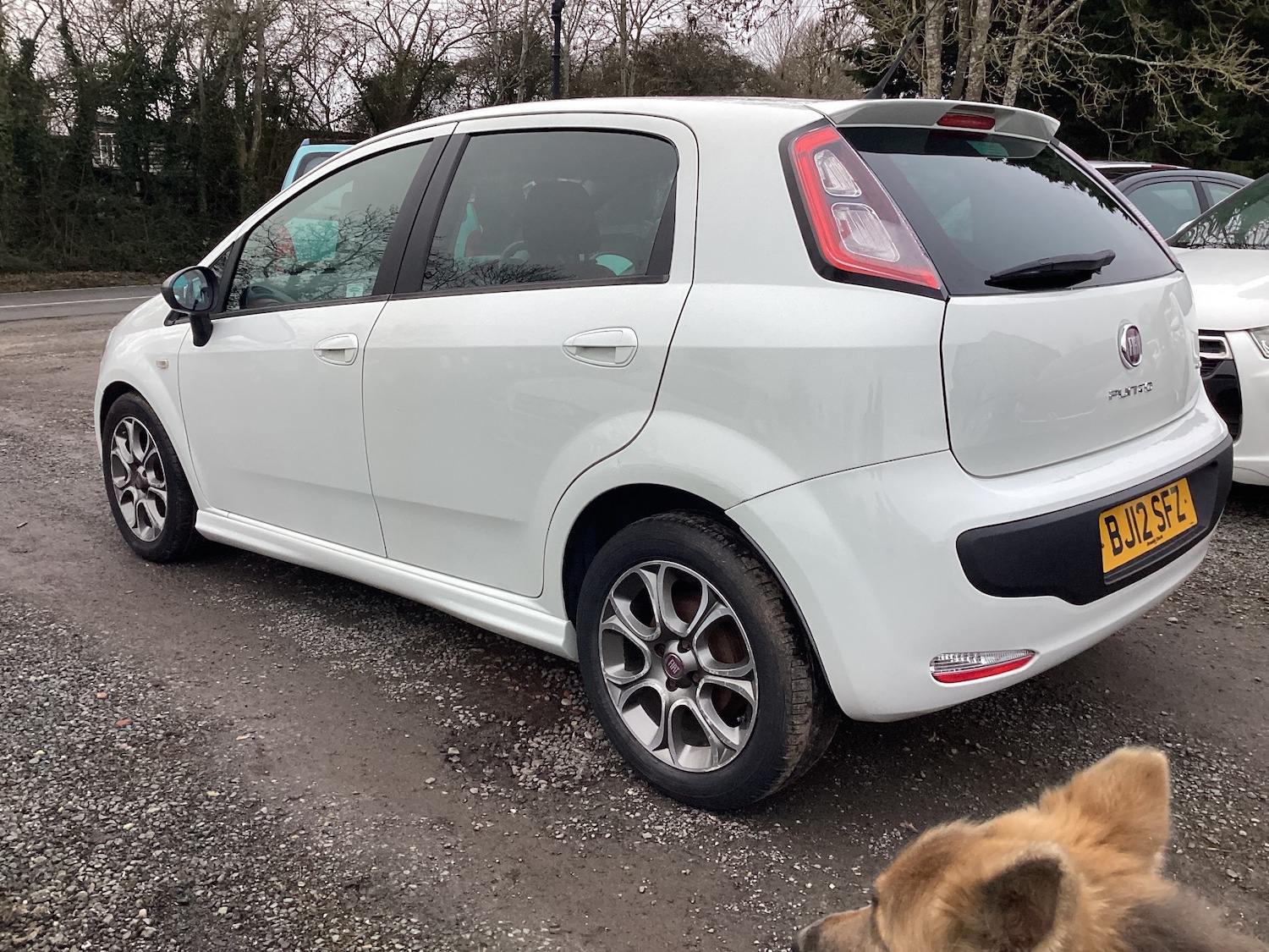 Used Fiat Punto Evo 2012 for sale - 77557206: Photo 3
