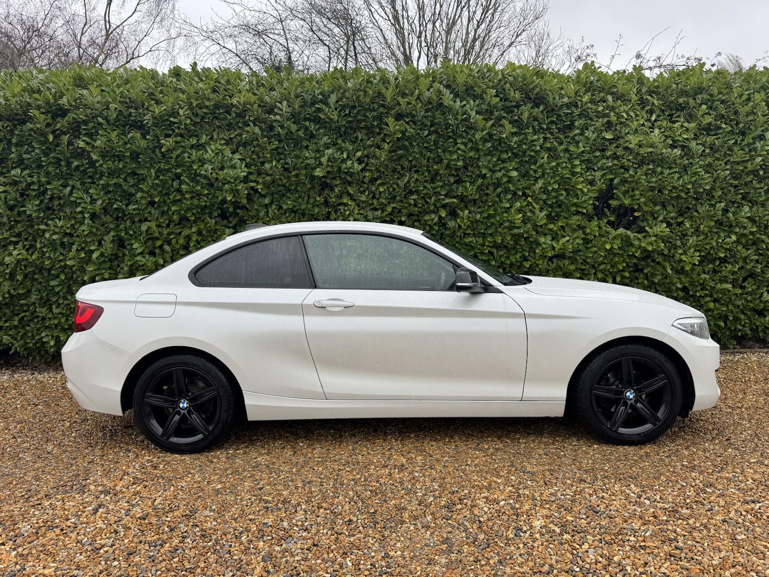 Used BMW 2 Series 2014 for sale - 77619404: Photo 2