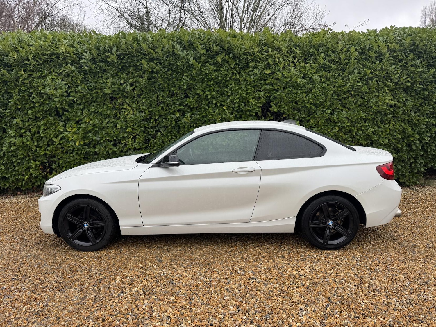 Used BMW 2 Series 2014 for sale - 77619404: Photo 3