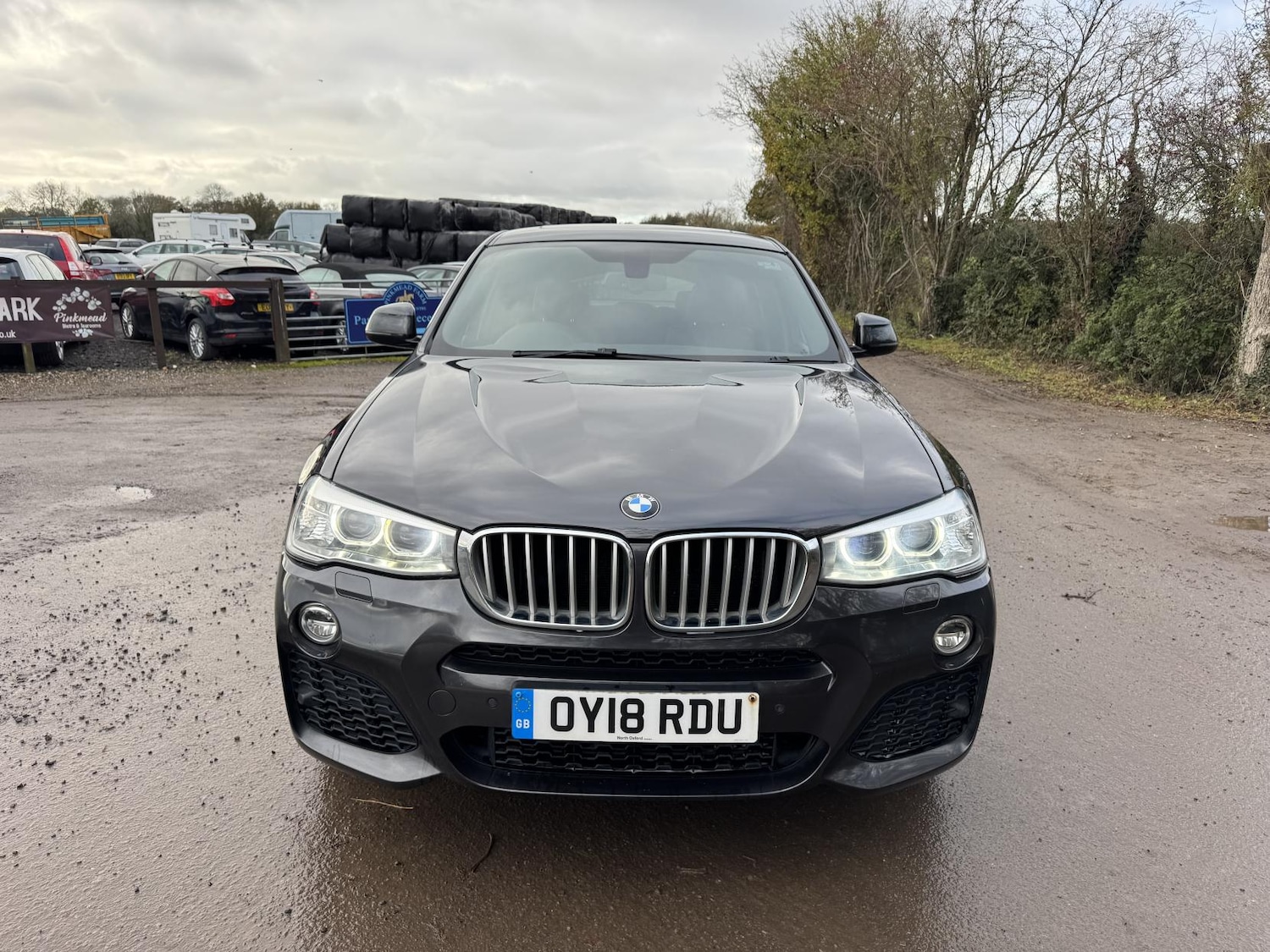 Used BMW X4 2018 for sale - 76726209: Photo 8