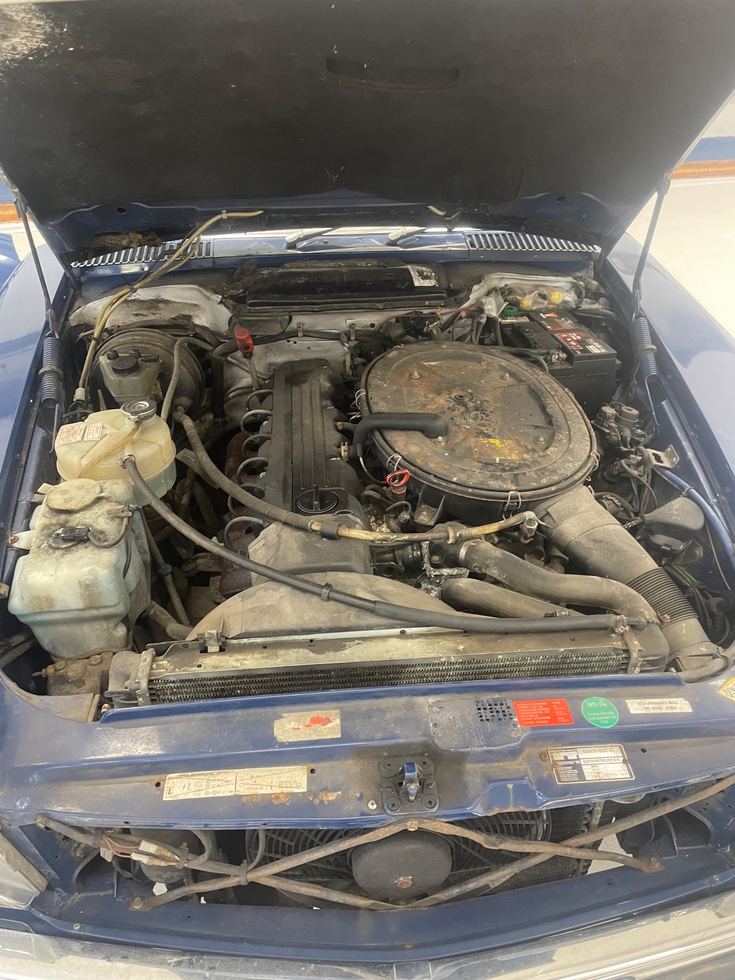 Used Mercedes-Benz 300 for sale - 77966553: Photo 12