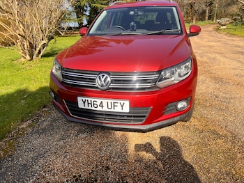 Used Volkswagen Tiguan 2014 for sale - 77743437: Photo