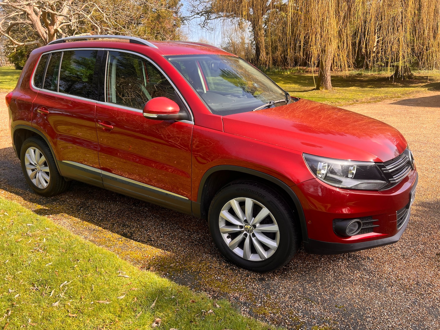Used Volkswagen Tiguan 2014 for sale - 77743437: Photo 3