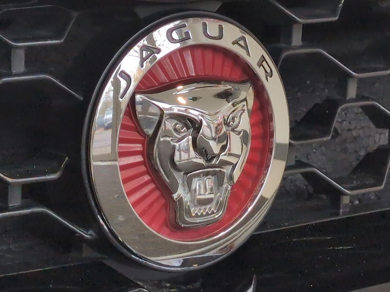 Used Jaguar F-Type 2019 for sale - 76735553: Photo 33