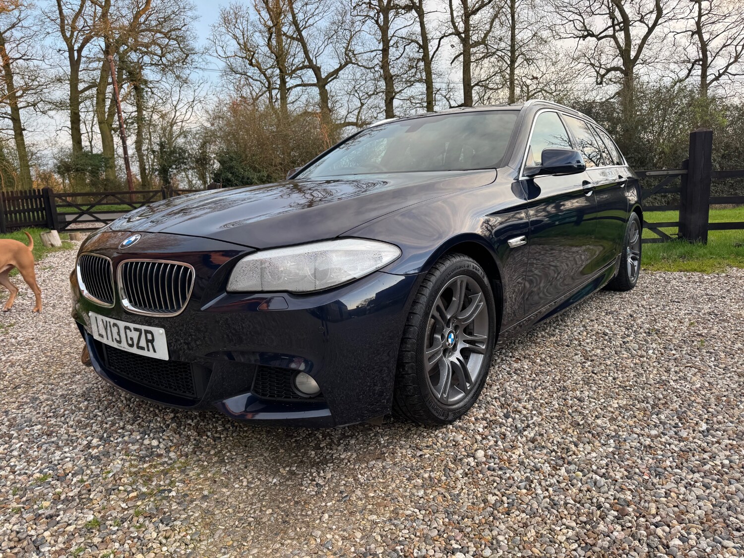 Used BMW 5 Series 2013 for sale - 77872393: Photo 2