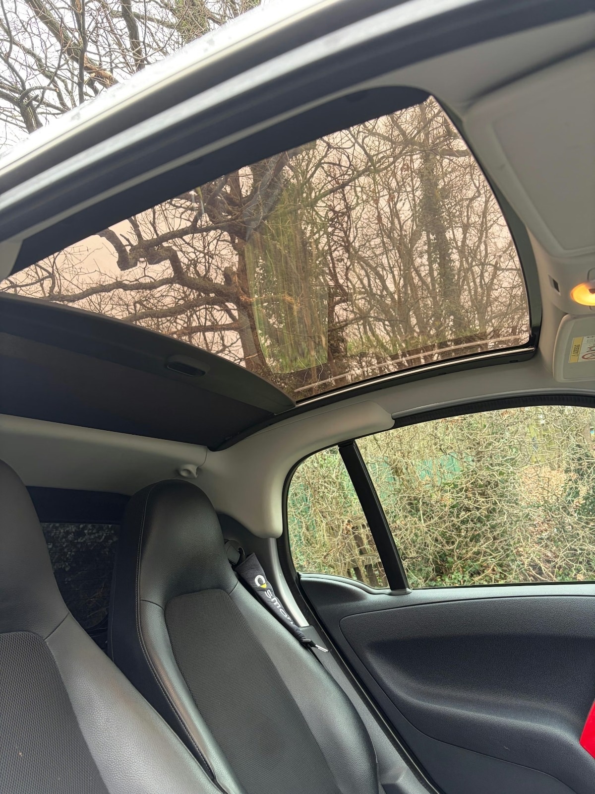 Used smart fortwo 2014 for sale - 78061625: Photo 13