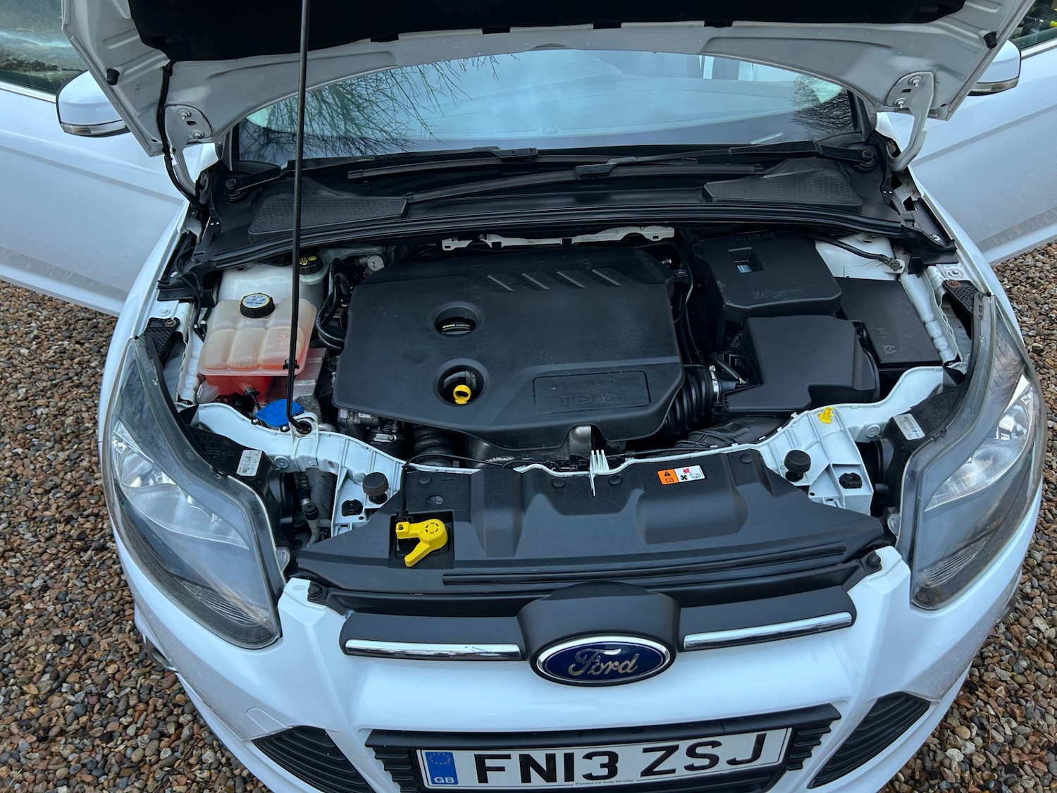 Used Ford Focus 2013 for sale - 77162482: Photo 12