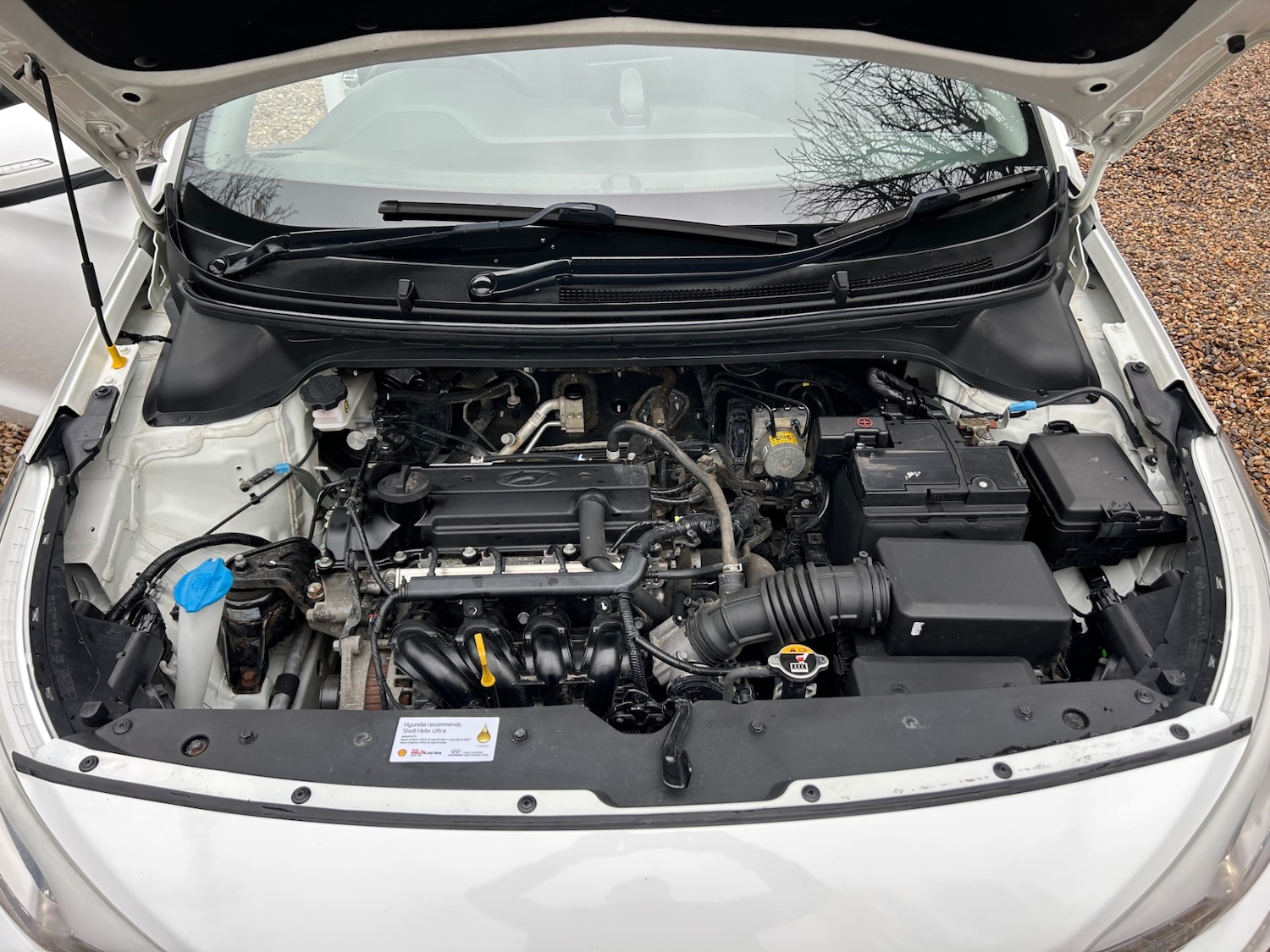 Used Hyundai i20 2017 for sale - 77328919: Photo 19