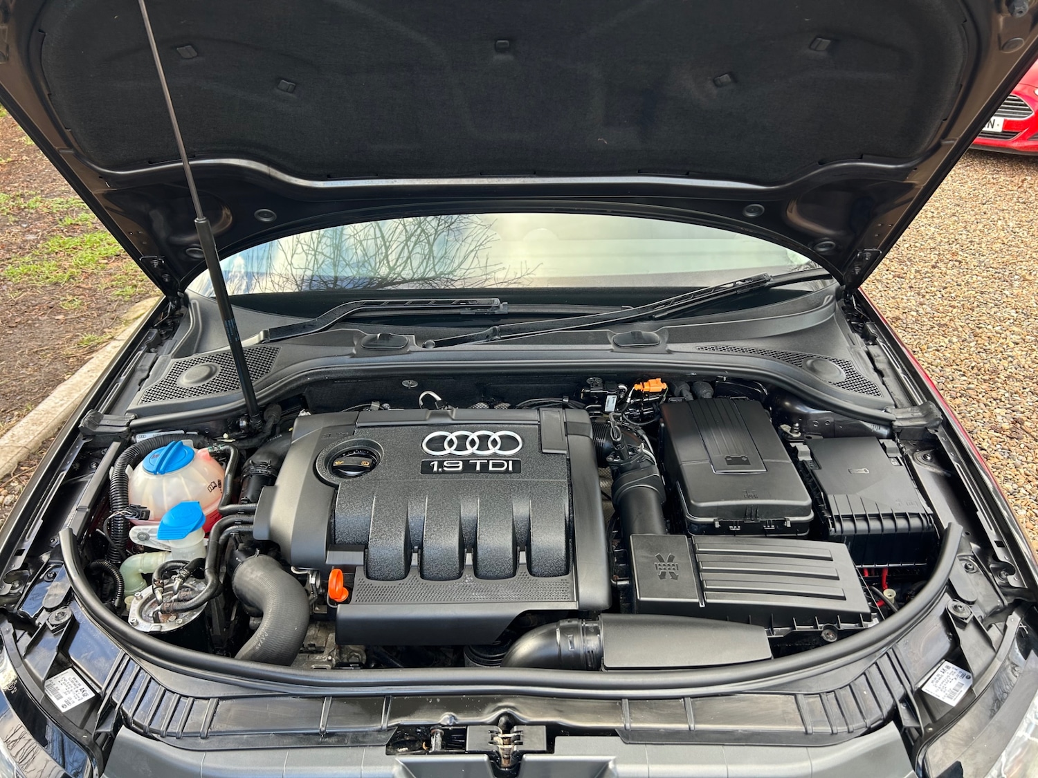 Used Audi A3 2009 for sale - 77051573: Photo 8