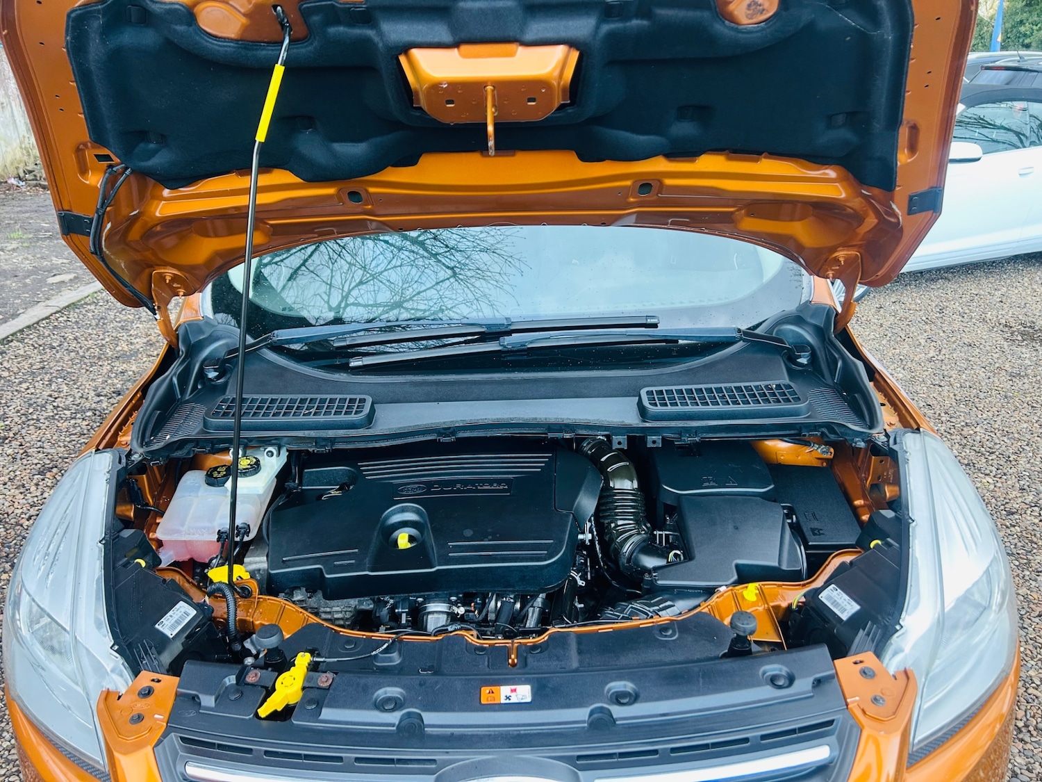 Used Ford Kuga 2015 for sale - 78015213: Photo 22